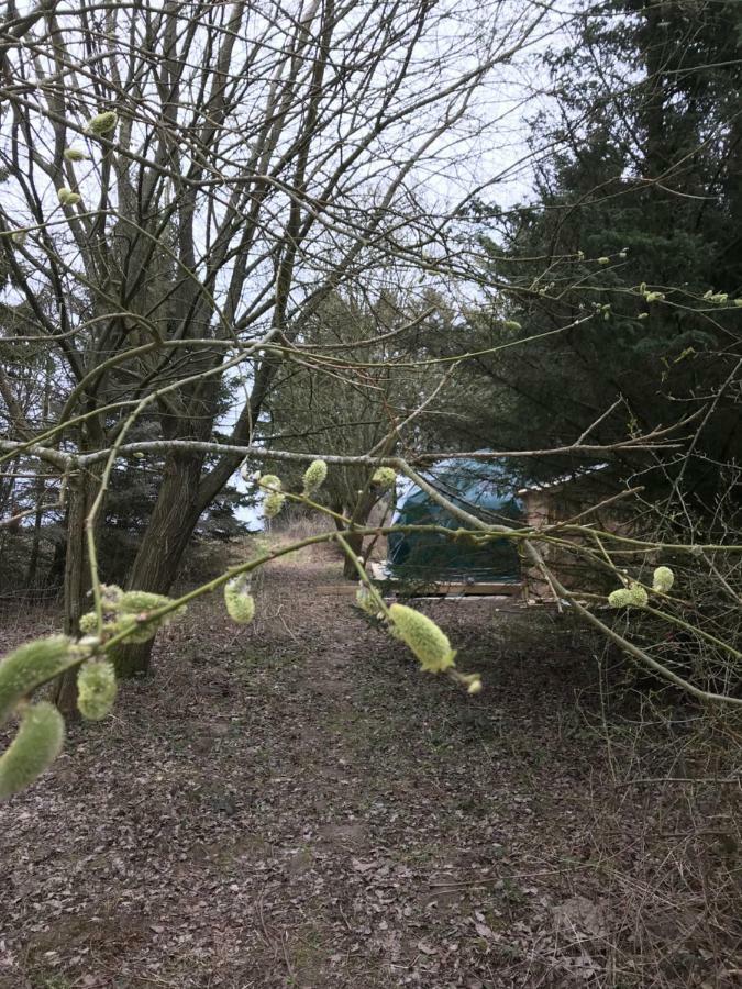 Bastekille Glamping Hotel Kivik Eksteriør billede