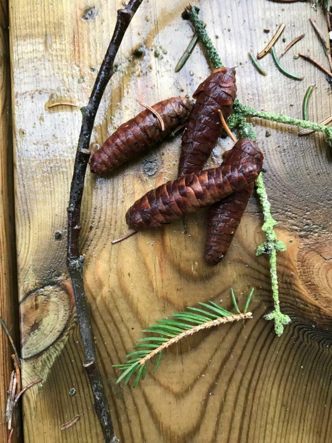 Bastekille Glamping Hotel Kivik Eksteriør billede